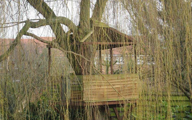 River Foss, York – treehouse