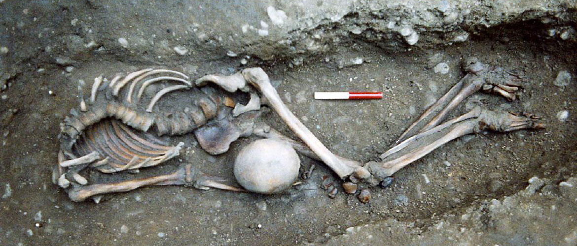  secret of York39;s Roman ‘gladiator’ skeletons revealed – YorkMix