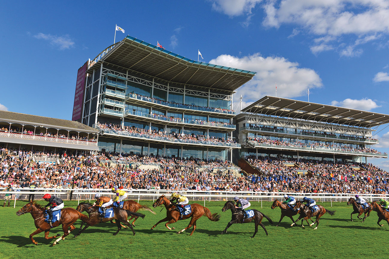 Updated: York Racecourse withdraws from pilot meeting with 17,000 ...