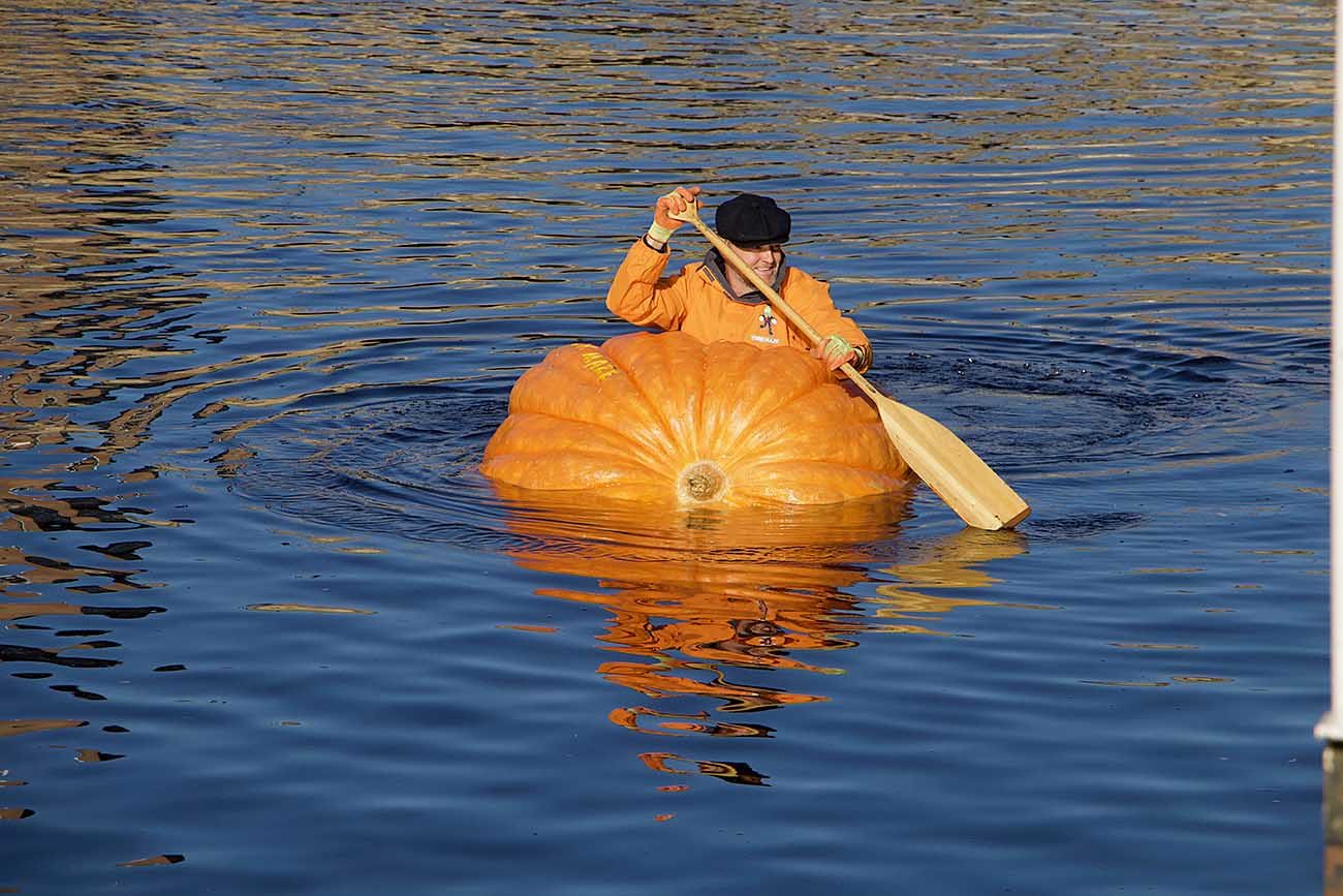 Tom Paddles His Pumpkin Into The Record Books YorkMix