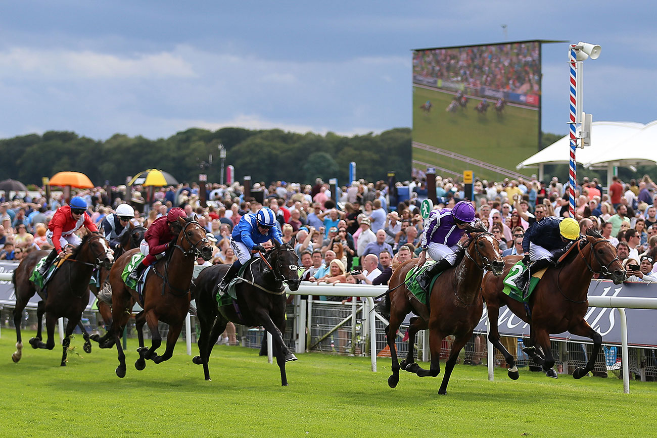 Who’ll win at York Races? Tips for the Ebor Festival 2019, Day 3 YorkMix
