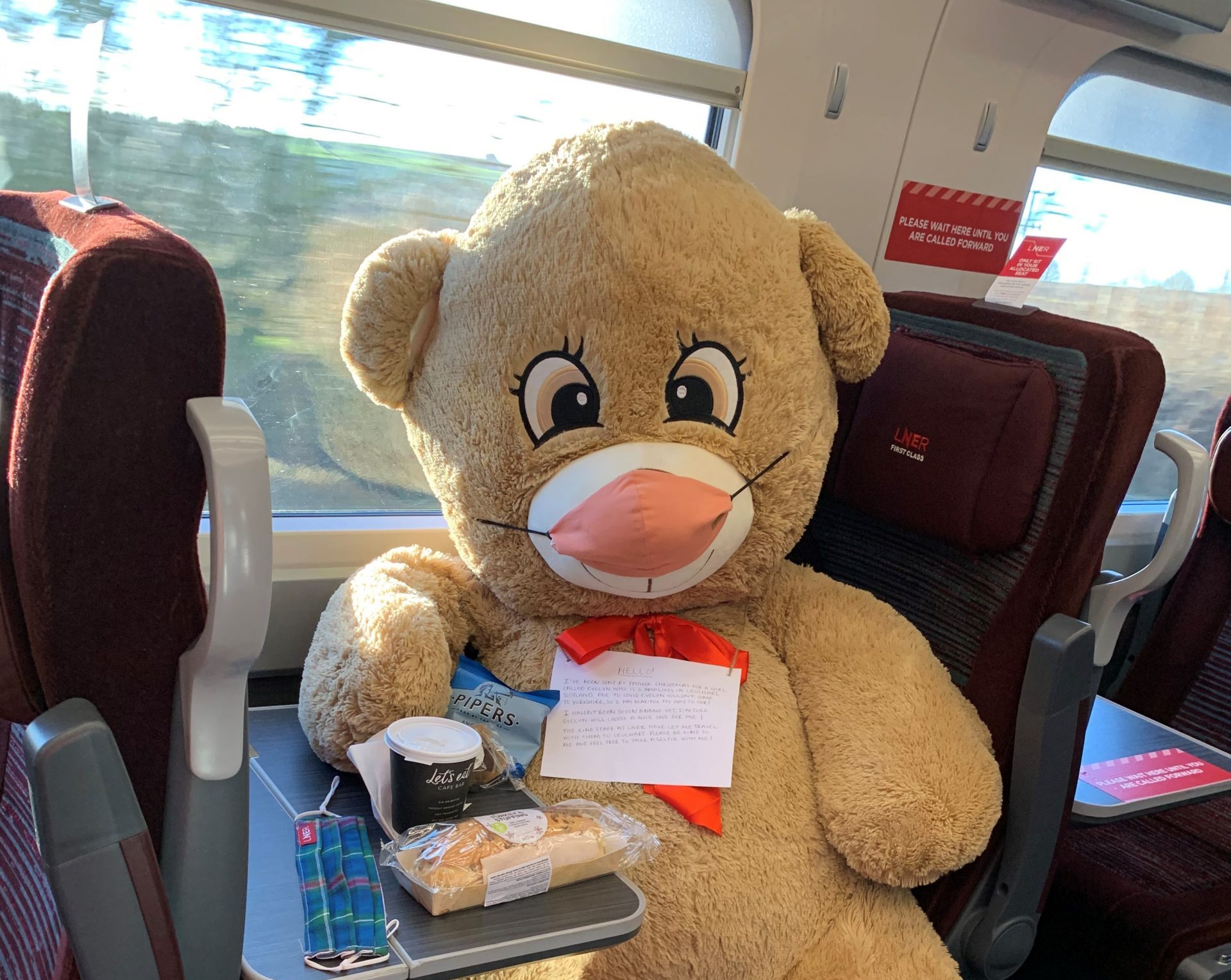 LNER makes sure a special Christmas bear gets from York to a three-year ...