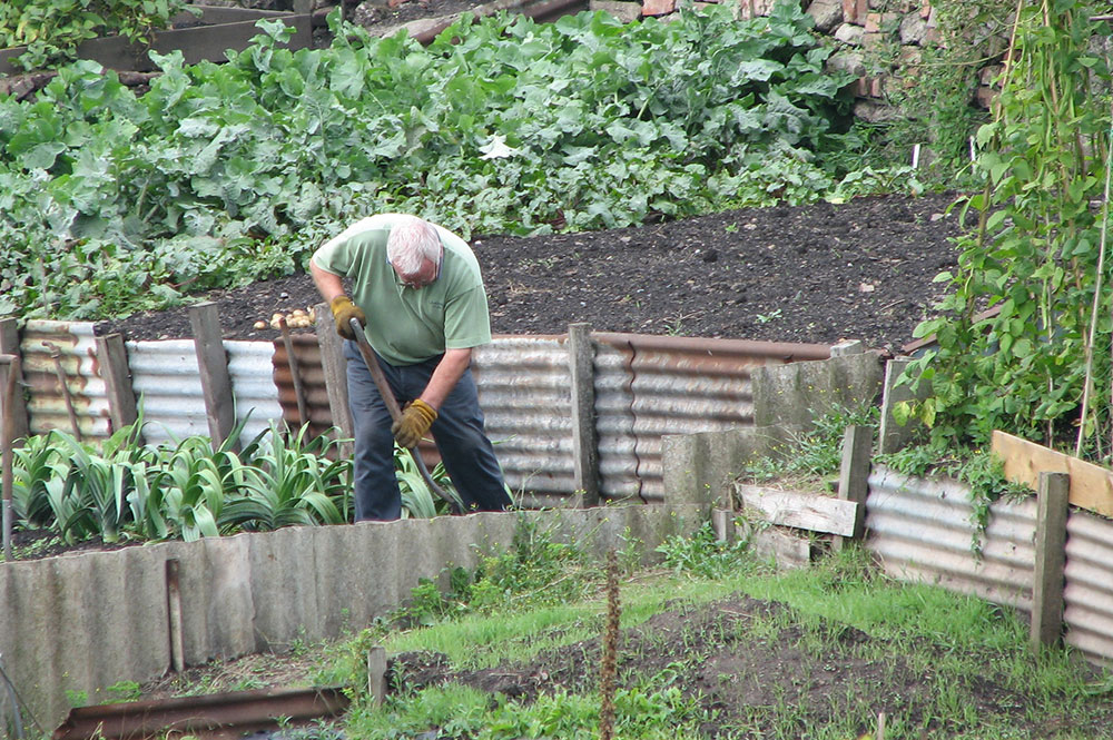 More than 1000 people on waiting list for allotments in York 