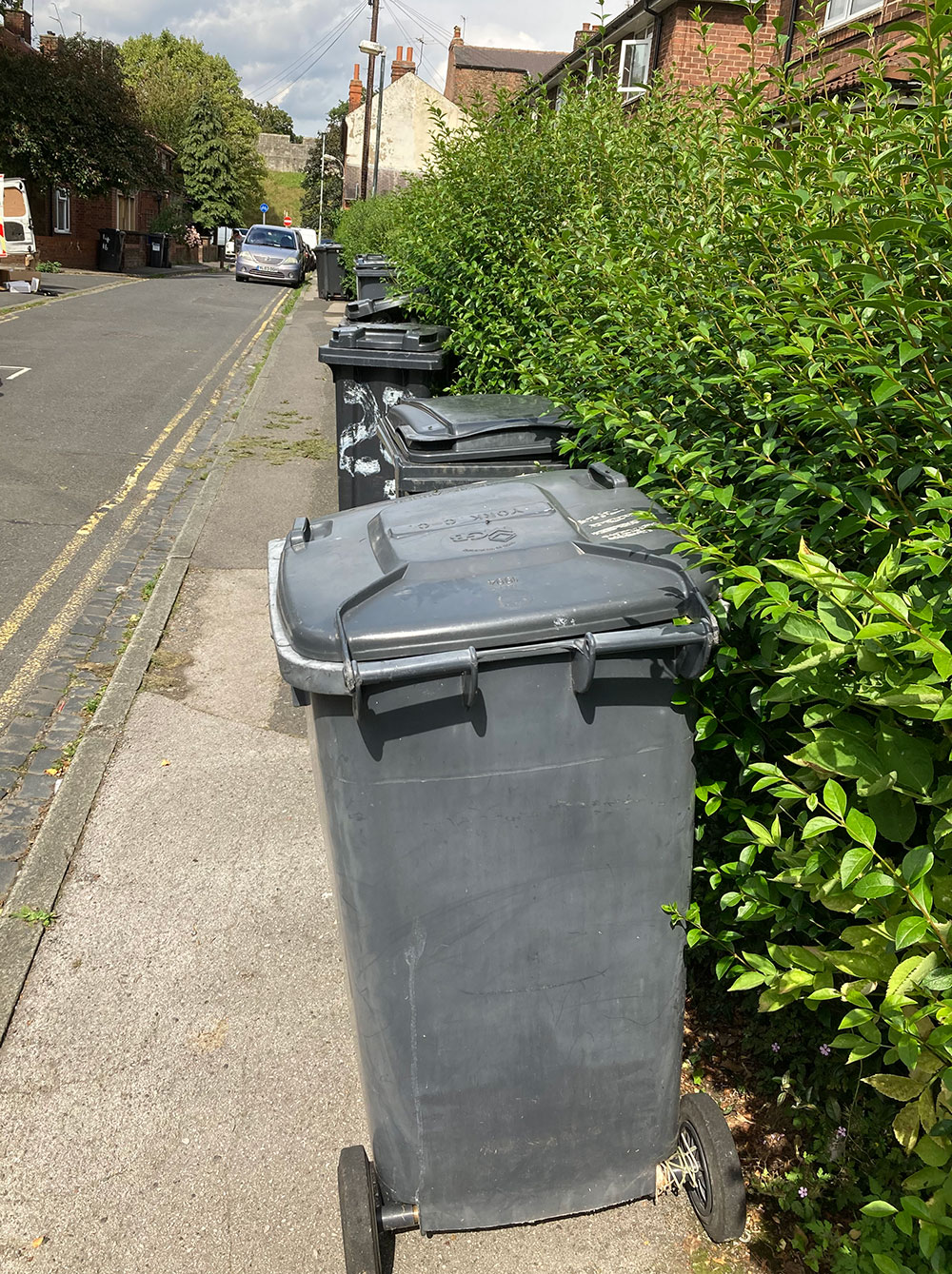 Wheelie bins, bags, crates and skips - Council rubbish bags - Wellington  City Council