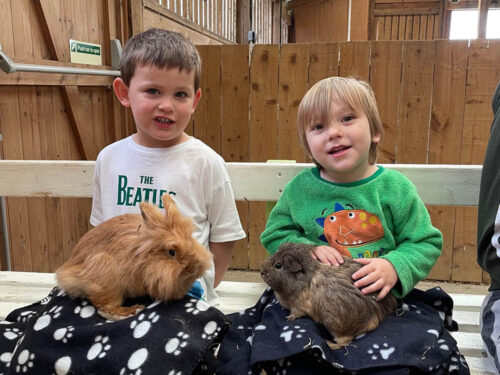 Beetle Bank Farm summer tour - cute and cuddly picture gallery | YorkMix