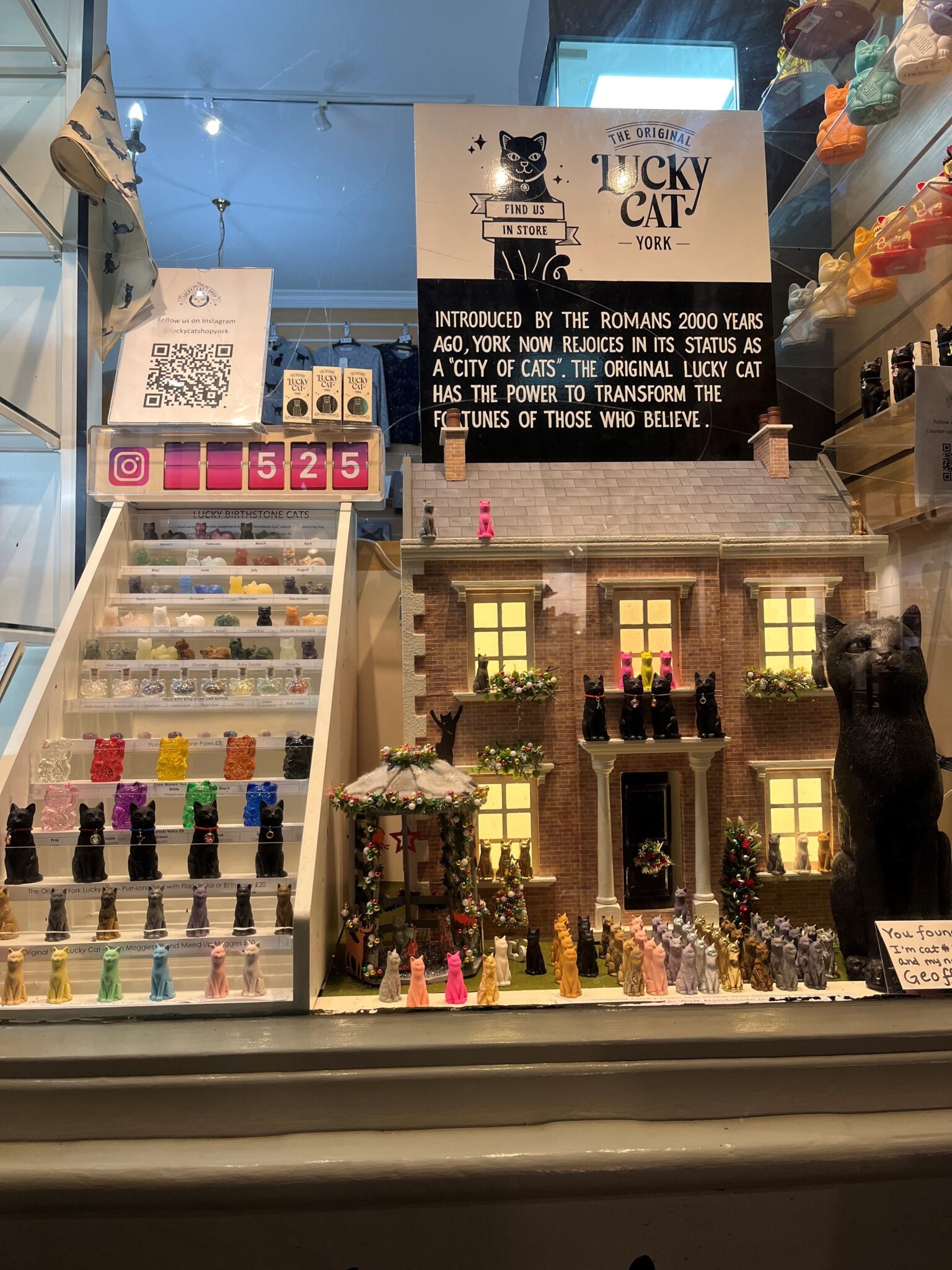 Quirky York shop celebrates a ‘whirlwind’ opening | YorkMix