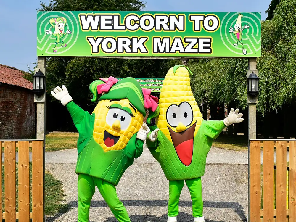 York Maze reveals their design for 2024 – which marks a special ...