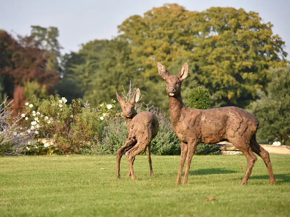 North Yorkshire attraction to open its largest ever outdoor exhibition
