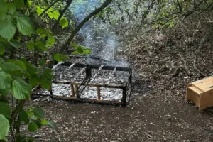 Quick-thinking business owner puts out woodland fire started deliberately