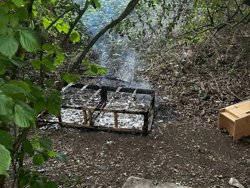 Quick-thinking business owner puts out woodland fire started deliberately