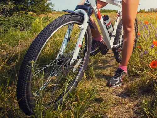 The York Naked Bike Ride is back – this year with a twist!